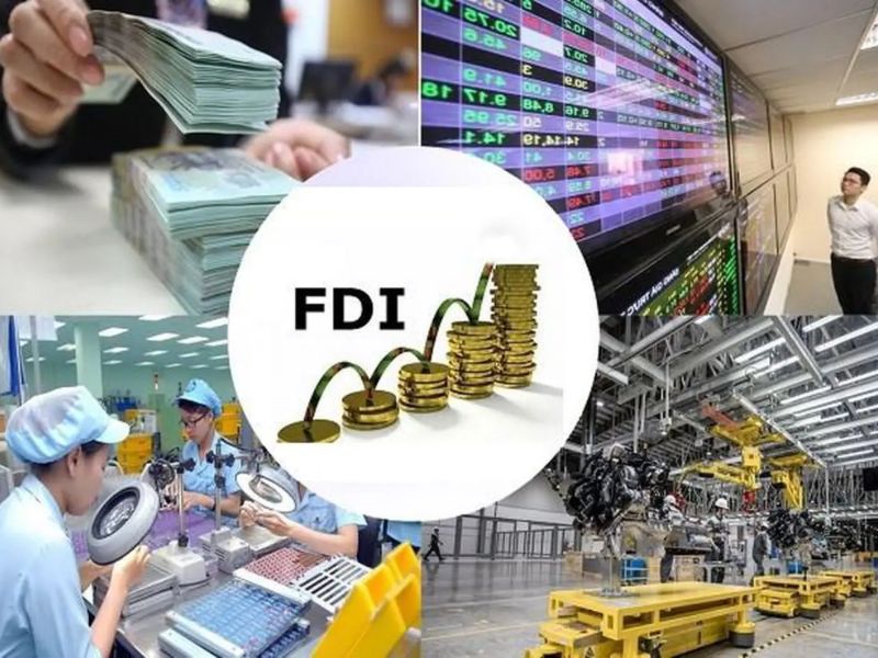 loại hình doanh nghiệp fdi là gì