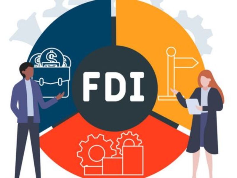 doanh nghiệp fdi tại việt nam là gì