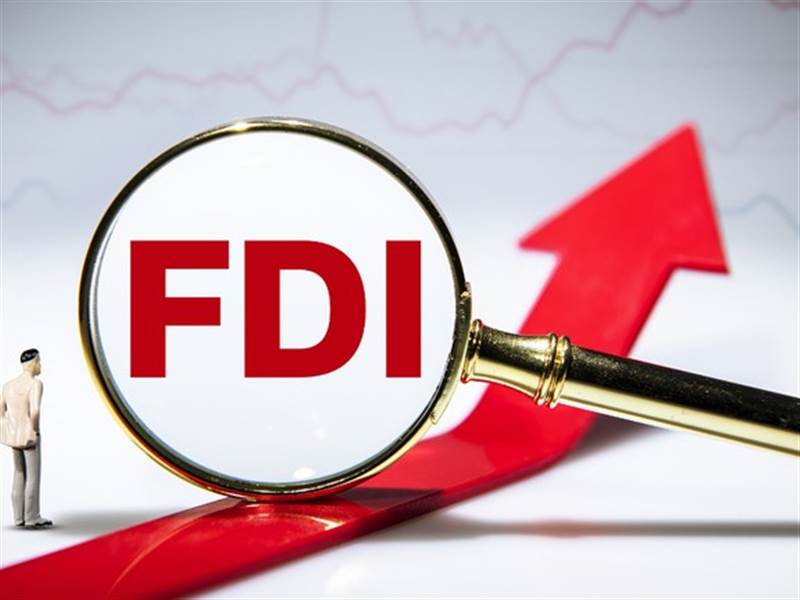 vốn fdi là gì