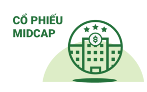 cổ phiếu midcap là gì