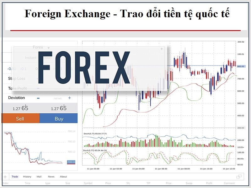 giao dịch ngoại hối forex là gì