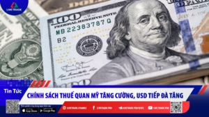 đồng usd