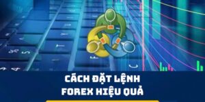 cách vào lệnh forex