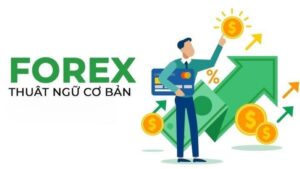 thuật ngữ cơ bản trong forex