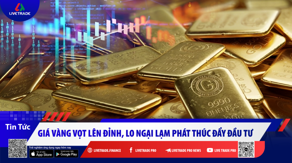 tin tức