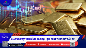 tin tức