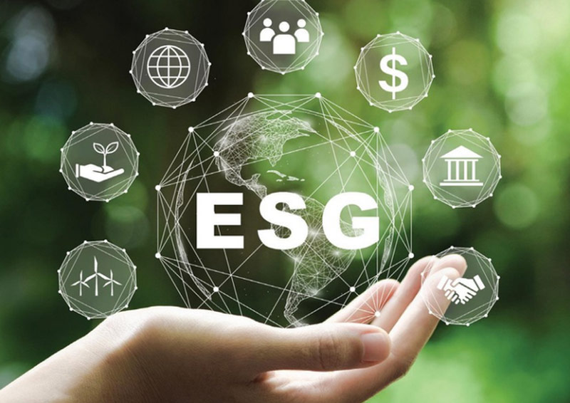 esg là viết tắt của từ gì