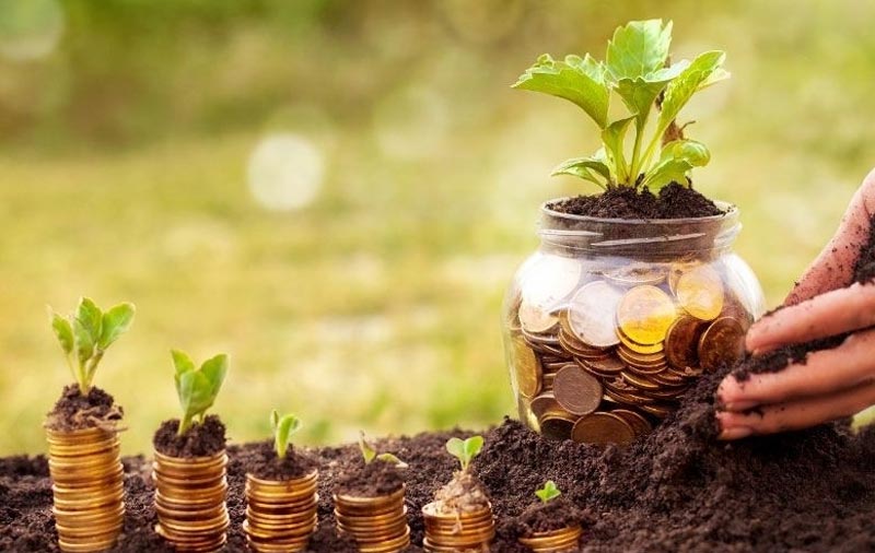 thủ tục nhận cổ tức bằng tiền mặt
