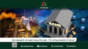 tin tức ngày 28/5