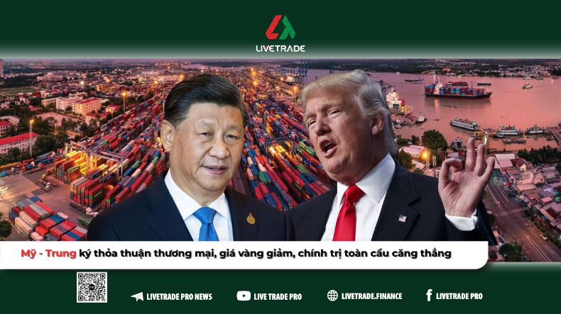 tin tức ngày 11/6